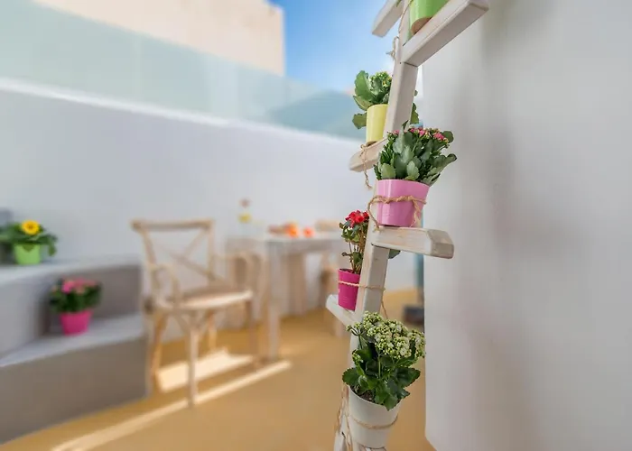 Calliope's With Jacuzzi *