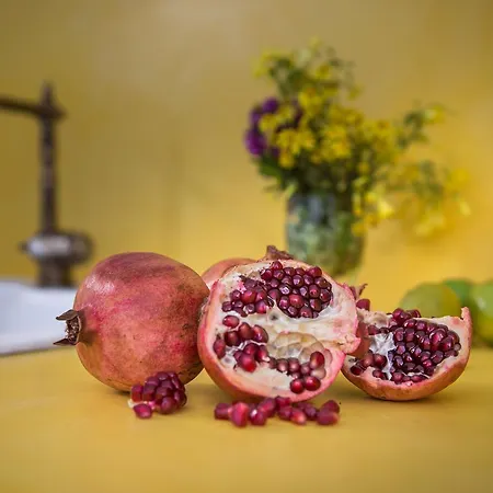 Calliope's With Jacuzzi